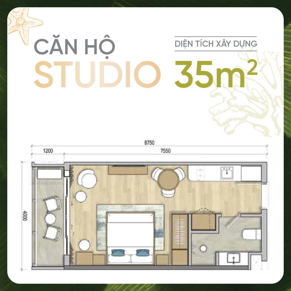 Studio