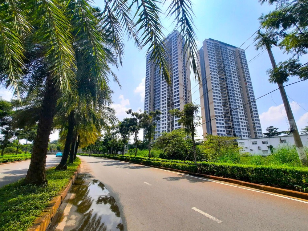 Palm City